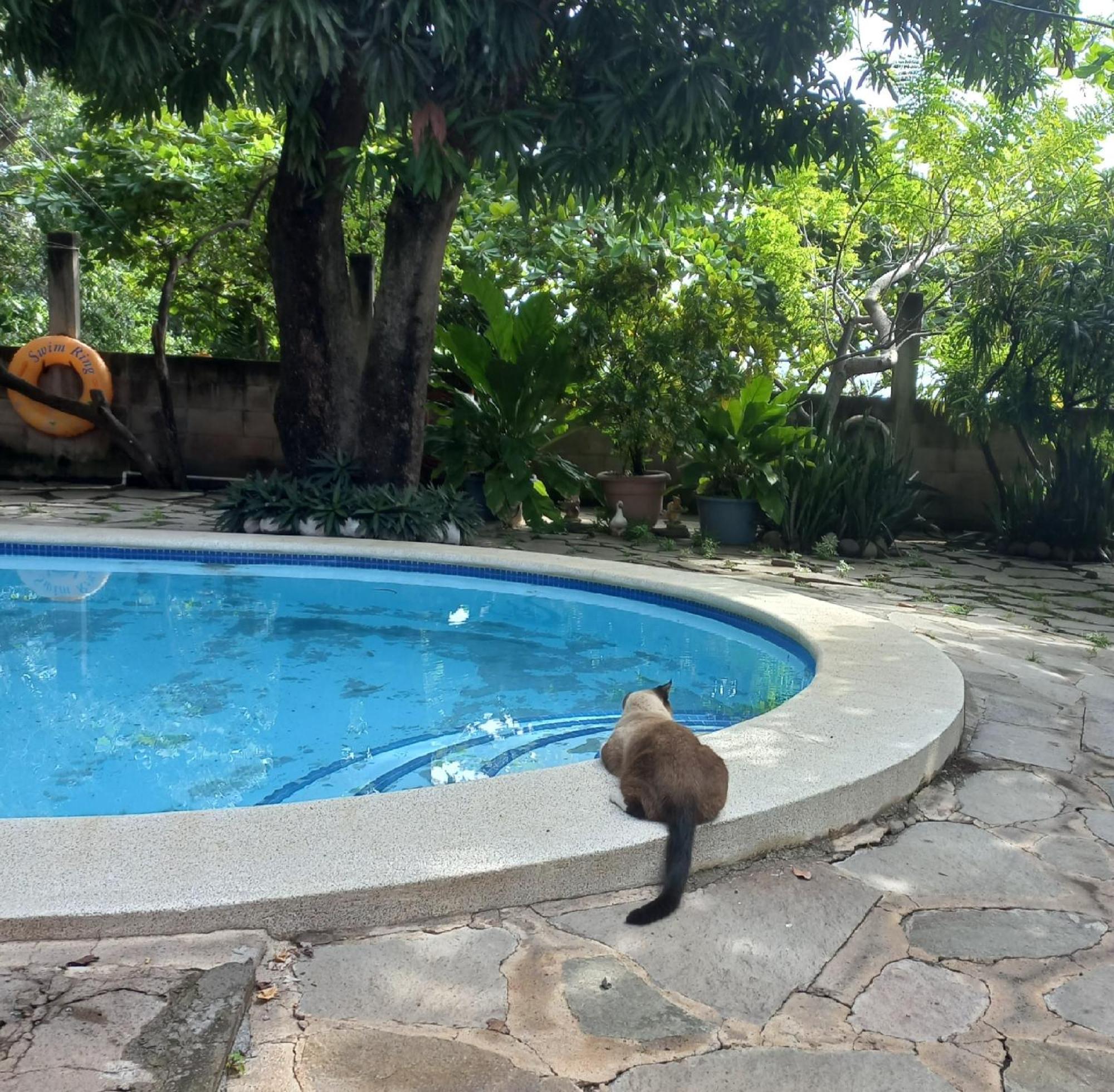 Casita Escondida- El Salvador Villa La Libertad Exteriör bild